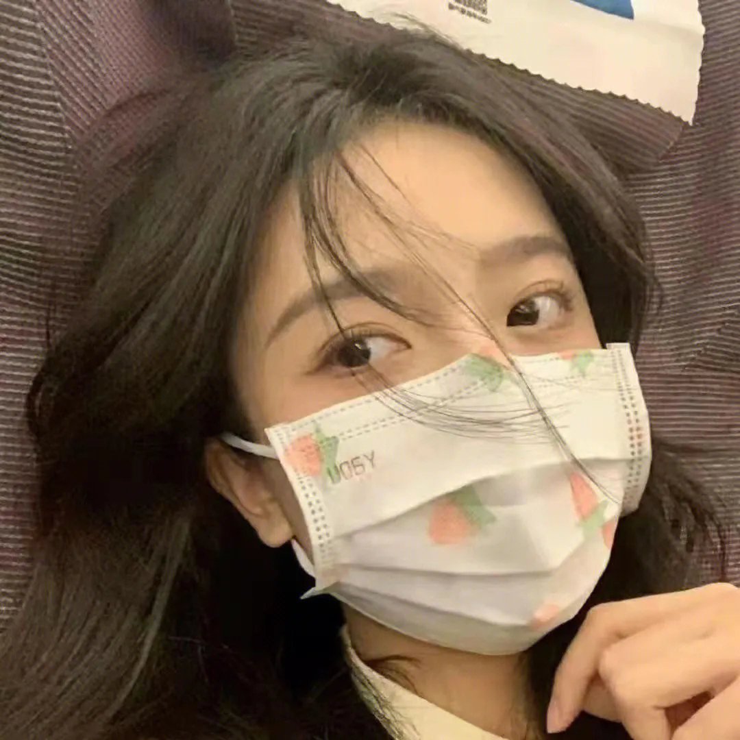 罗美雪妮黛的美丽与哀愁 封面